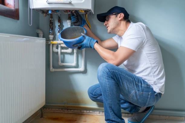 Best Local Plumber Services  in Bellerose Terrace, NY