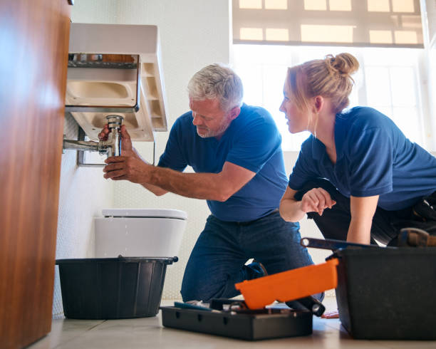 Best Plumbing Inspection Services  in Bellerose Terrace, NY